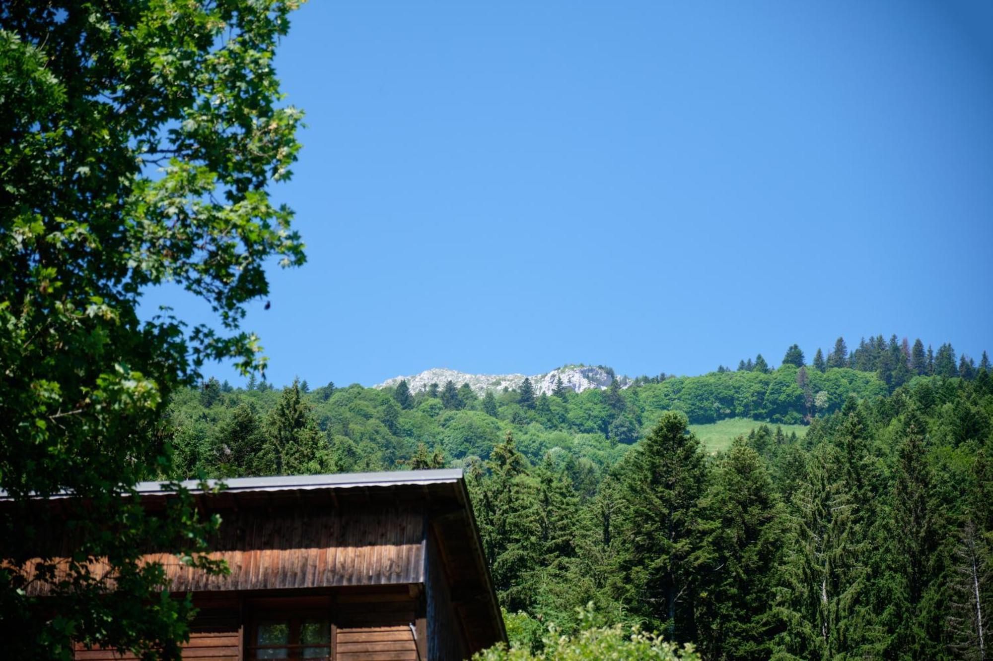 Chalet Le Lys Martagon Saint-Pierre-d'Entremont  المظهر الخارجي الصورة